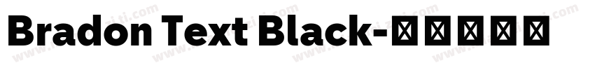 Bradon Text Black字体转换